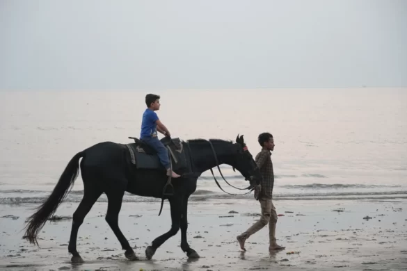 Versova Beach Horse Ride